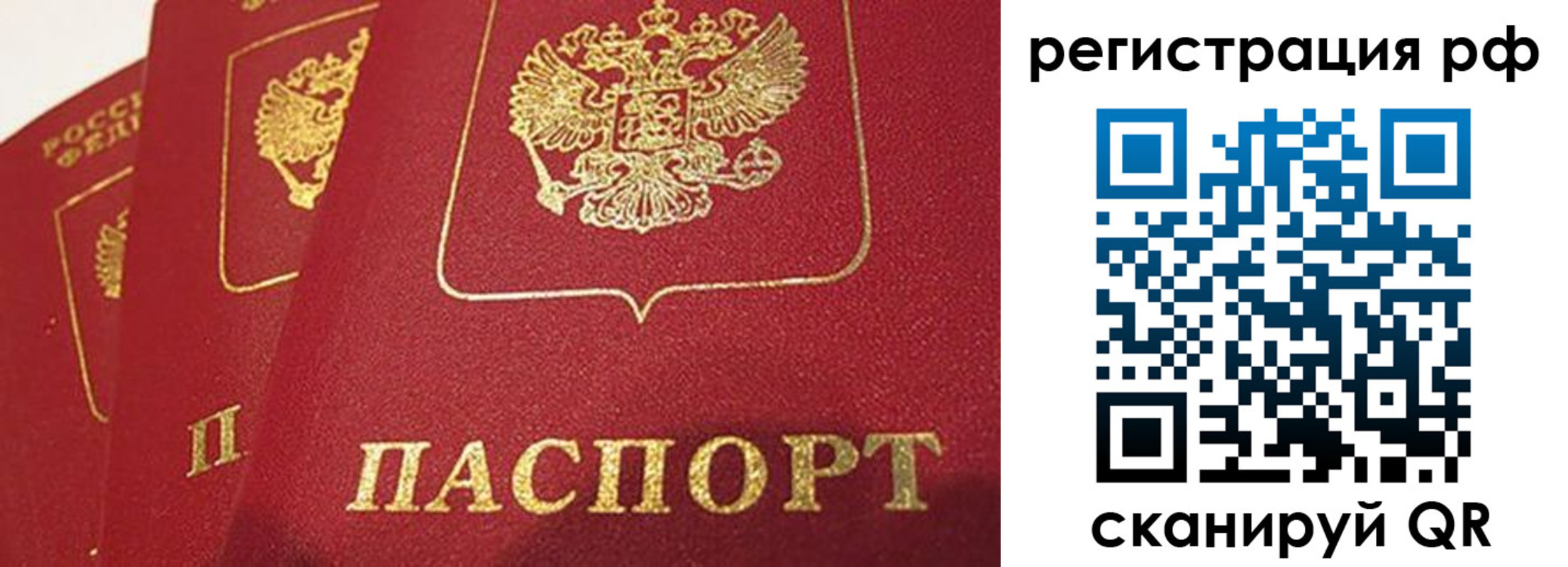 прописка в квартире в Полярных Зорях